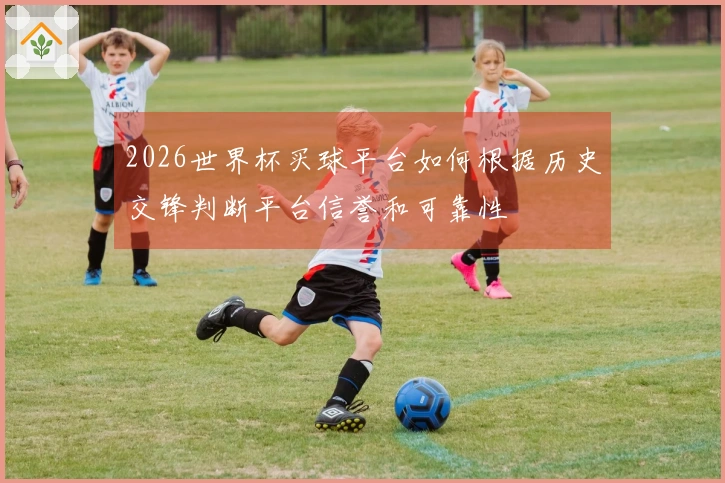 2026世界杯买球平台如何根据历史交锋判断平台信誉和可靠性